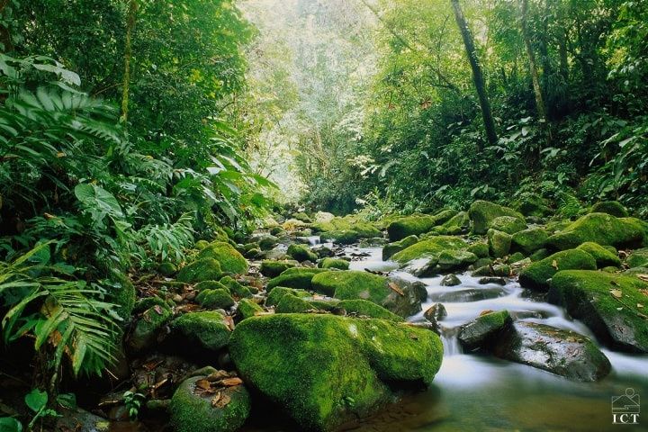 Luna de miel en Costa Rica: 10  tips que no debes perderte